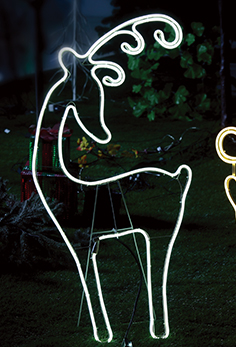 led rope light